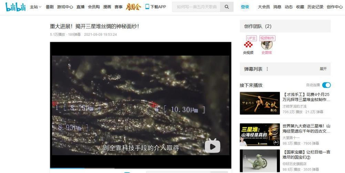 （截图自B站视频《重大进展！揭开三星堆丝绸的神秘面纱！》）