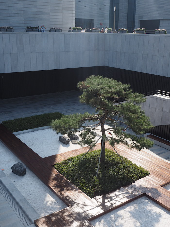 苏州博物馆西馆下沉式庭院中的松柏