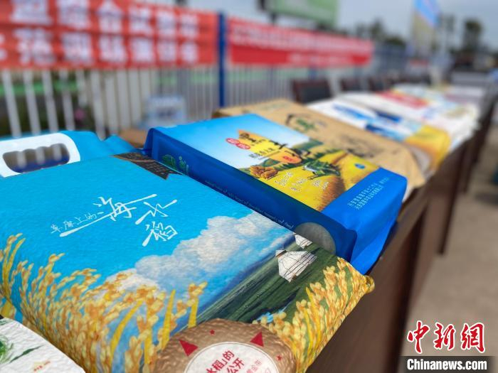 图为“袁蒙”耐盐碱大米。　张玮 摄