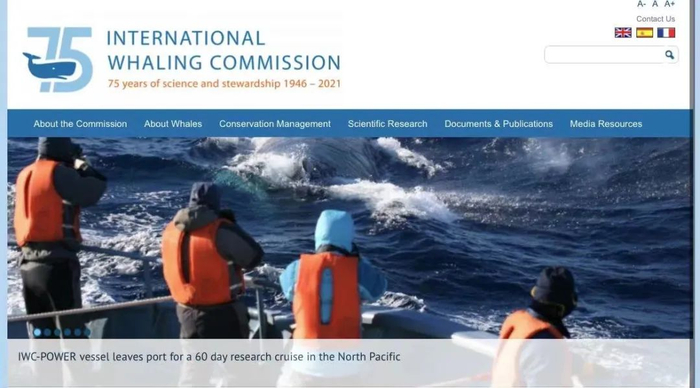 据IWC官网，委员会船只离开港口前往北太平洋进行为期六十天的研究航行