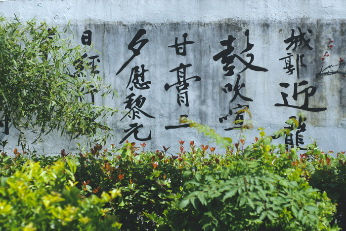 迎龙村村景本文图片除标注外均为澎湃新闻记者朱喆图