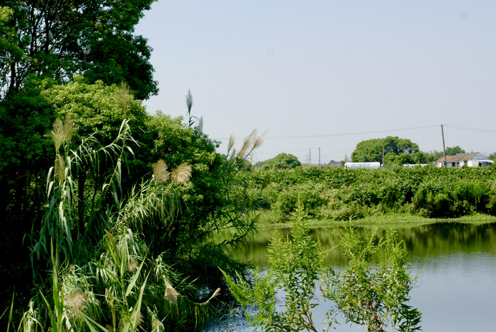 都市郊野，小而美