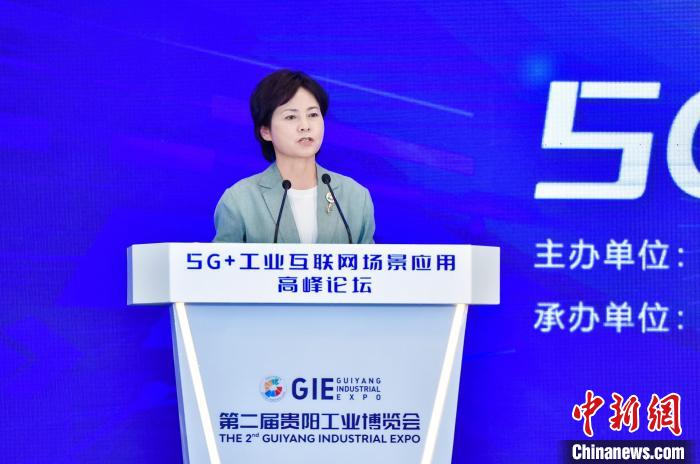 工业和信息化部副部长徐晓兰致辞。　主办方供图