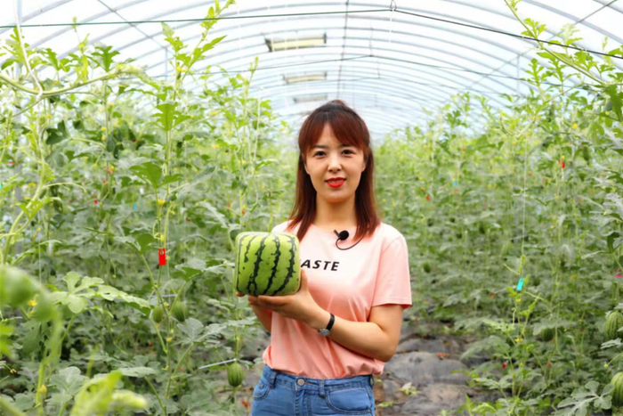 友谊农场推出的创意变形西瓜。