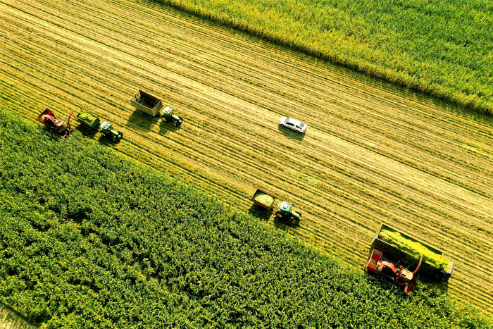 北大荒农垦集团红兴隆分公司江川农场丰收景象。