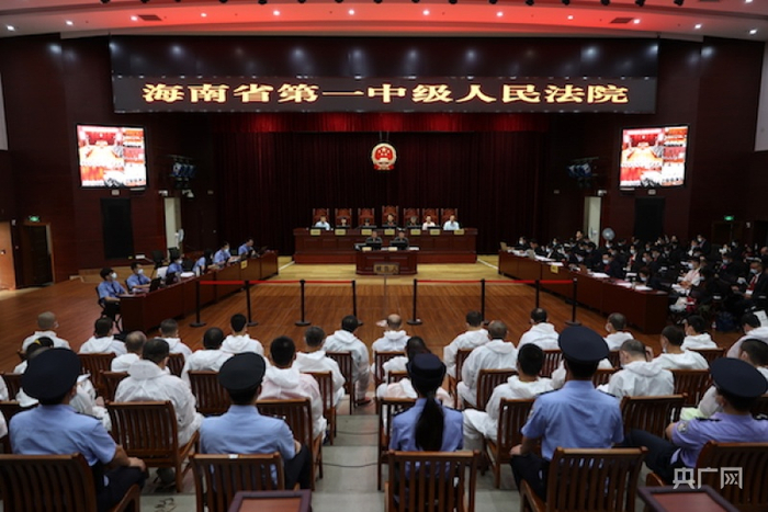 庭审现场 央广网发 海南一中院 供图