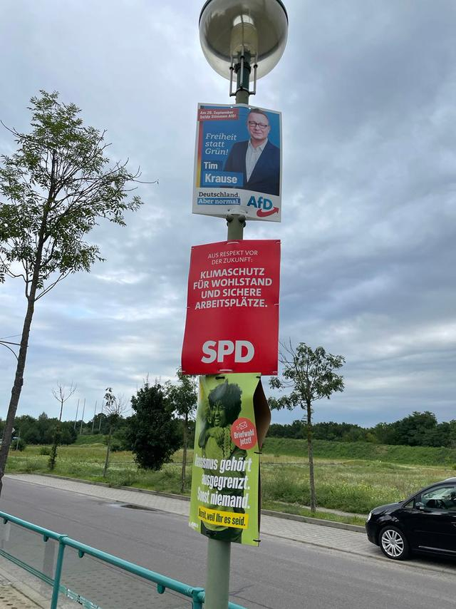 住在波茨坦的德国华人李静（化名）在路上拍摄的竞选海报，从上到下分别为德国选择党、社民党和绿党。 受访者 供图
