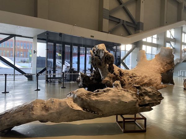 《沉云》，展览现场