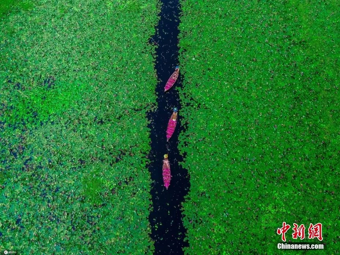 图片来源：ICphoto