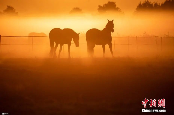 图片来源：ICphoto