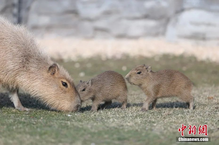 图片来源：视觉中国