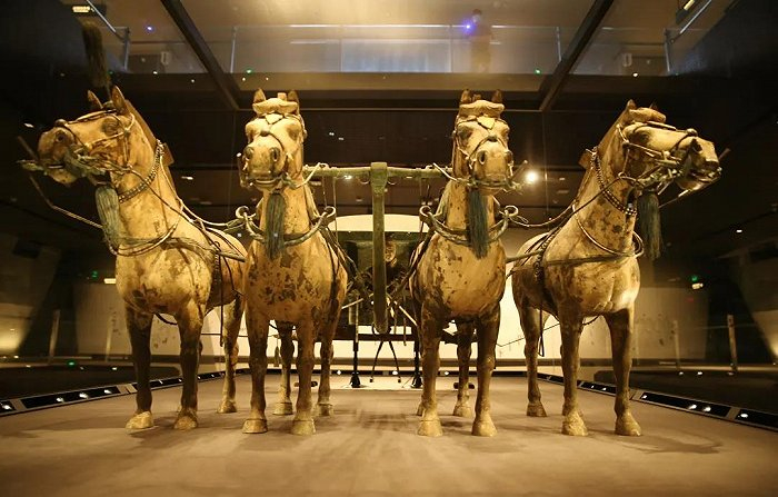 图片来源：“西安发布”公众号