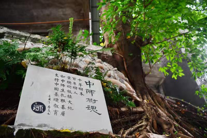 中师历史陈列馆（央广网发 苏盛宇摄）