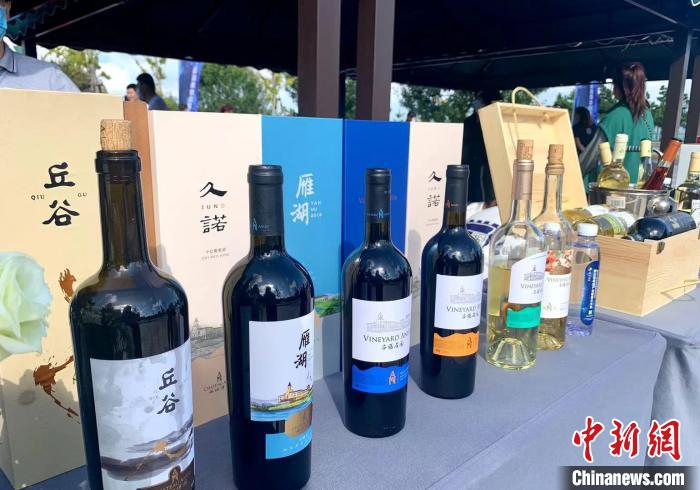 蓬莱产区葡萄酒产业快速发展，年生产能力14万千升。　王娇妮 摄