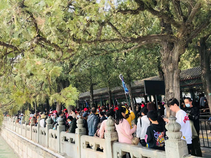图/新京报记者 王真真 摄