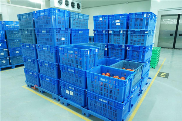 干净整齐的蔬菜存储区（央广网发 李娴摄）