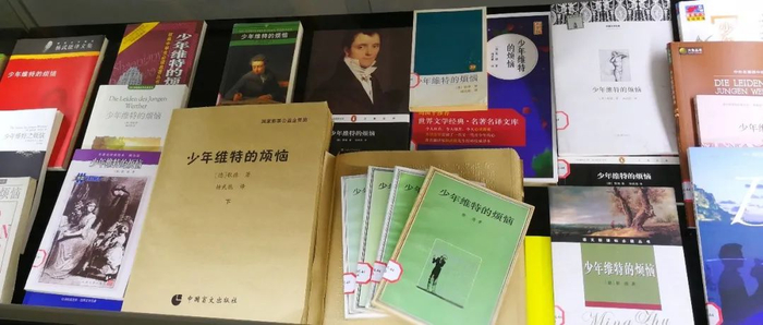 专访杨武能:德国是我的精神家园 但我最要感谢的是祖国__财经头条__新浪财经