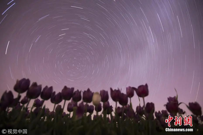 图片来源：视觉中国