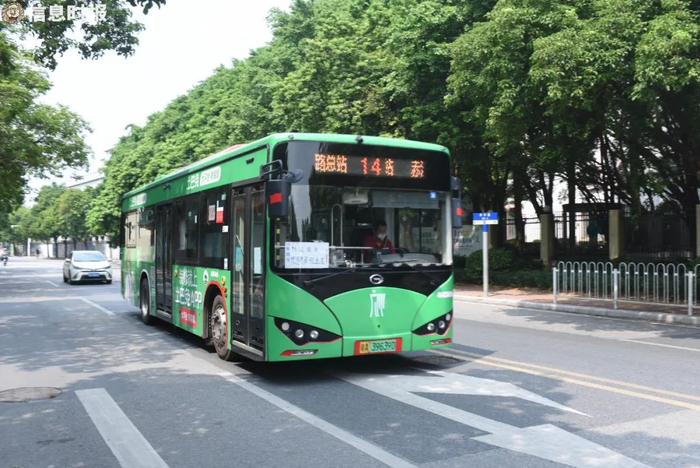 信息时报记者 陈引 摄