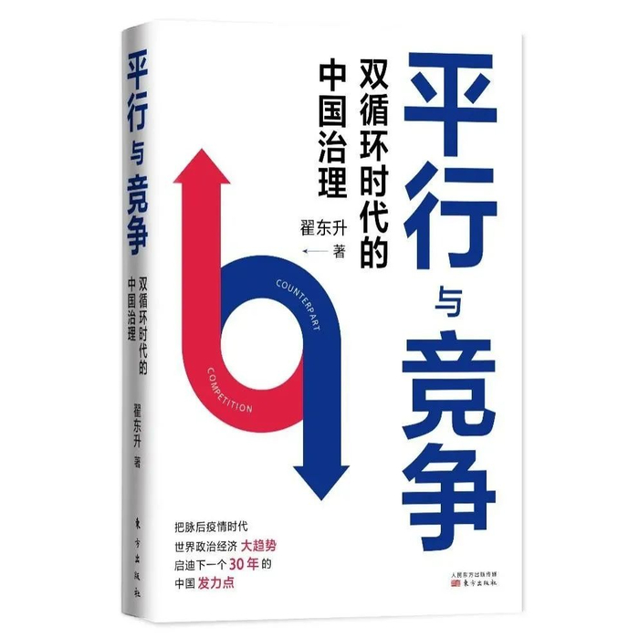 《平行与竞争：双循环时代的中国治理》