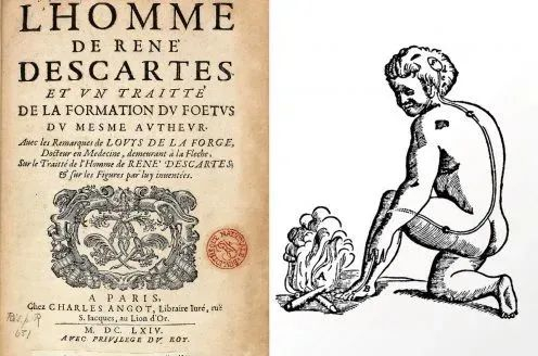 这幅插图描述了哲学家勒内·笛卡尔想象中热量是怎样向大脑发送机械信号。