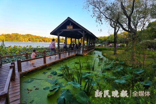 图说：闵行体育公园。新 民晚报记者 张龙 摄