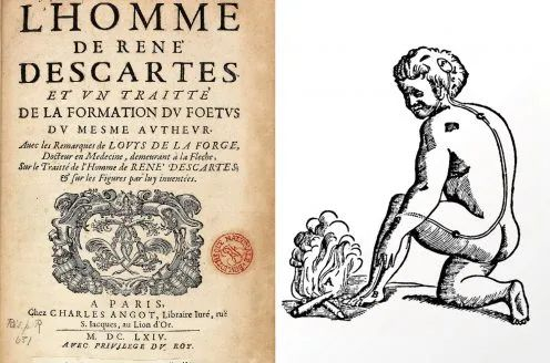 插图描述了哲学家勒内·笛卡尔想象中热量是怎样向大脑发送机械信号。