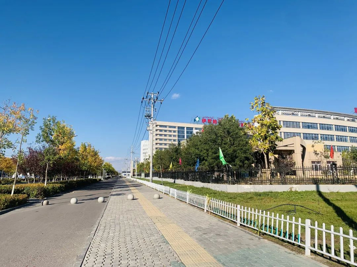 ▲10月3日下午，伊宁市街头景象。受访者供图