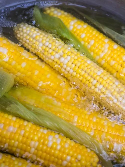 ▲ 鲜嫩的苞米，用清水煮煮就很美味。摄影/Jean_De_Vlas，图/图虫·创意