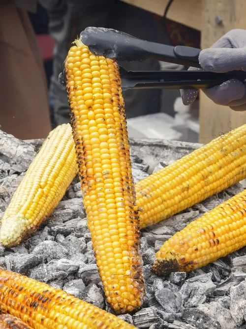 ▲ 在东北，有的烤苞米就直接放在炭火之上。摄影/alexey_arz，图/图虫·创意
