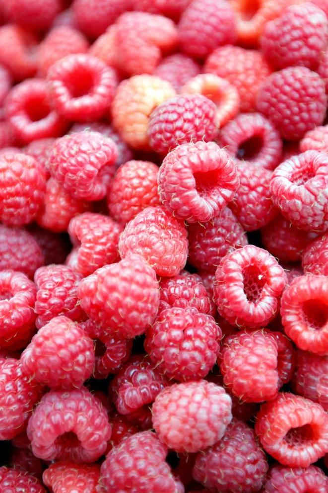 宕昌县南阳镇的树莓，入口爆浆！摄影/冉创昌