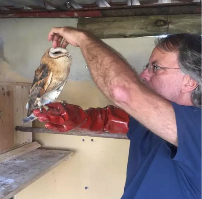 莫桑比克作家米亚·科托，该图片由米亚·科托提供。