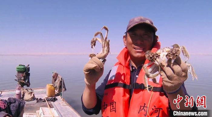 图为水上雅丹螃蟹肥美个大。　青海广播电视台柴达木记者站 供图
