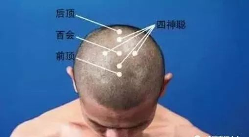 百会是“天”,涌泉是“地”