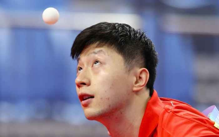 马龙率山东鲁能获乒超8连胜。资料图/新华社