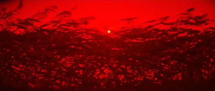 张艺谋《红高粱》剧照