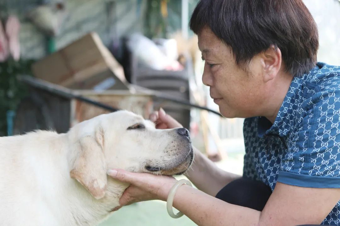 ▲周姐和一只基地内的流浪狗亲昵。 