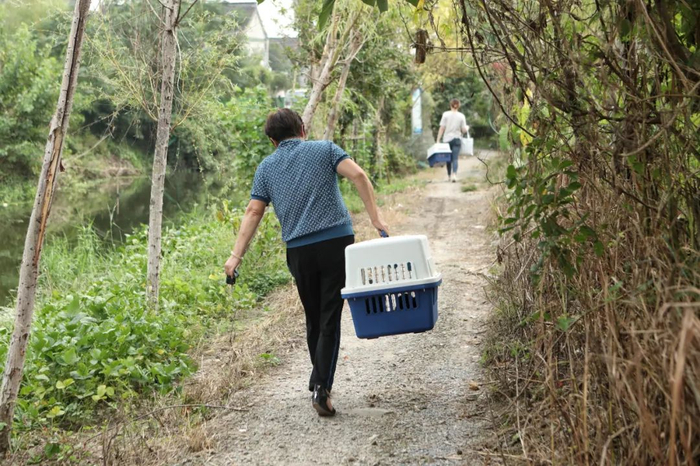 ▲周姐带着状态不好的狗准备去医院做检查。