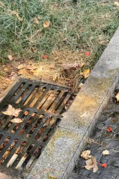 惩罚过后，路边污渍残留。人民网 黄钰摄