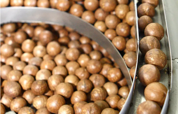 图源：云南省委宣传部