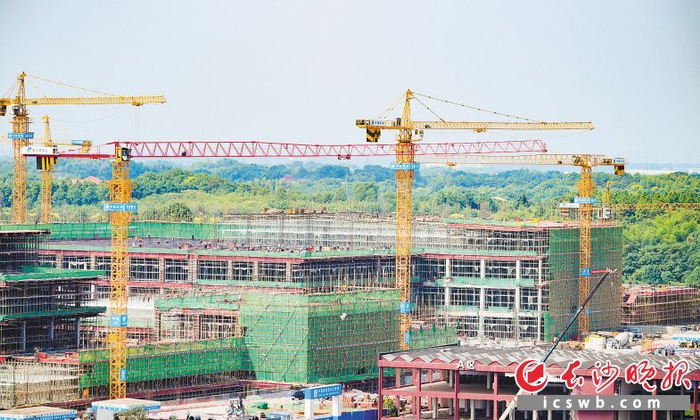 雅士林项目目前正在进行主体结构施工，建设完工后，预计年产值可达300亿元。永安镇政府供图