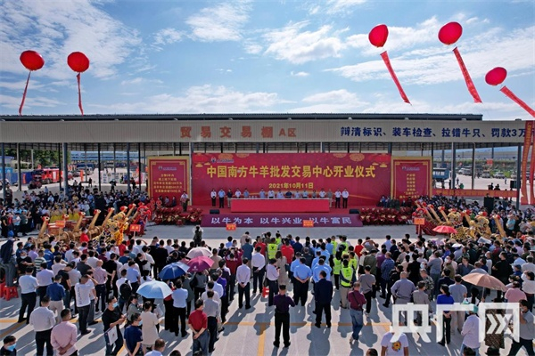 中国南方牛羊批发交易中心开业现场（央广网发 记者唐志强摄）