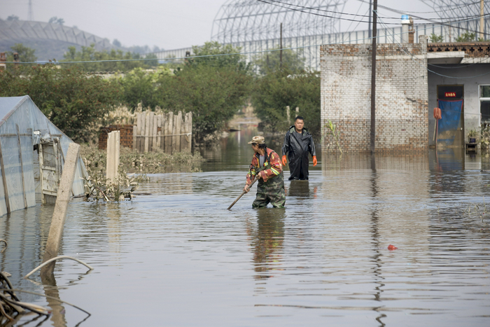 图片来自IC&nbsp;photo
