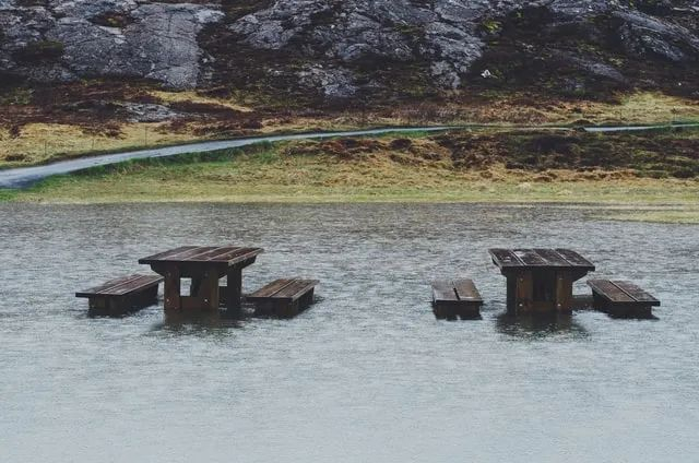 （图片来源：unsplash）