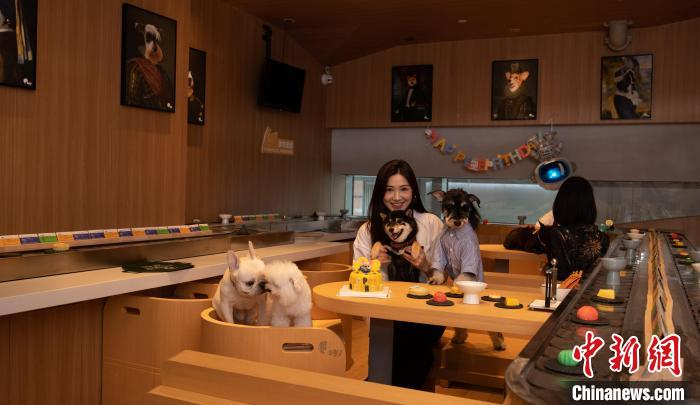 主人带着宠物在旋转餐厅享受美食。　蛋黄宠物供图