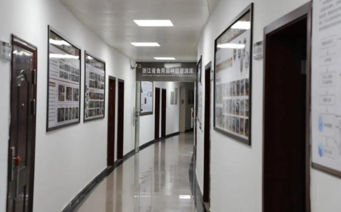 浙江省食用菌种质资源库 庆元县融媒体中心供图