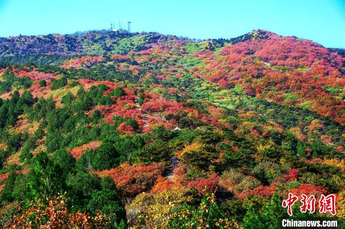 图为西山国家森林公园。　北京市园林绿化局供图