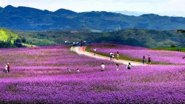 兴仁放马坪丨图源：中国黔西南