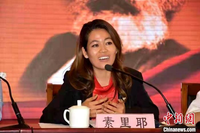 素里耶参加会议发言。素里耶提供
