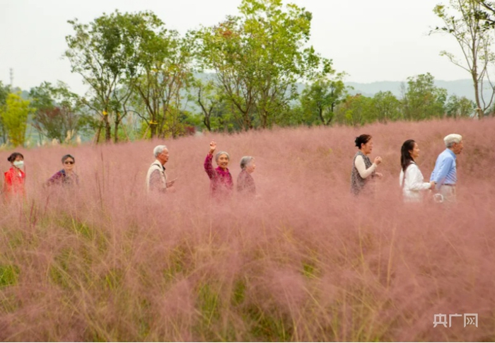 环岛183滨江步道（央广网发 广阳岛绿色发展有限责任公司供图）